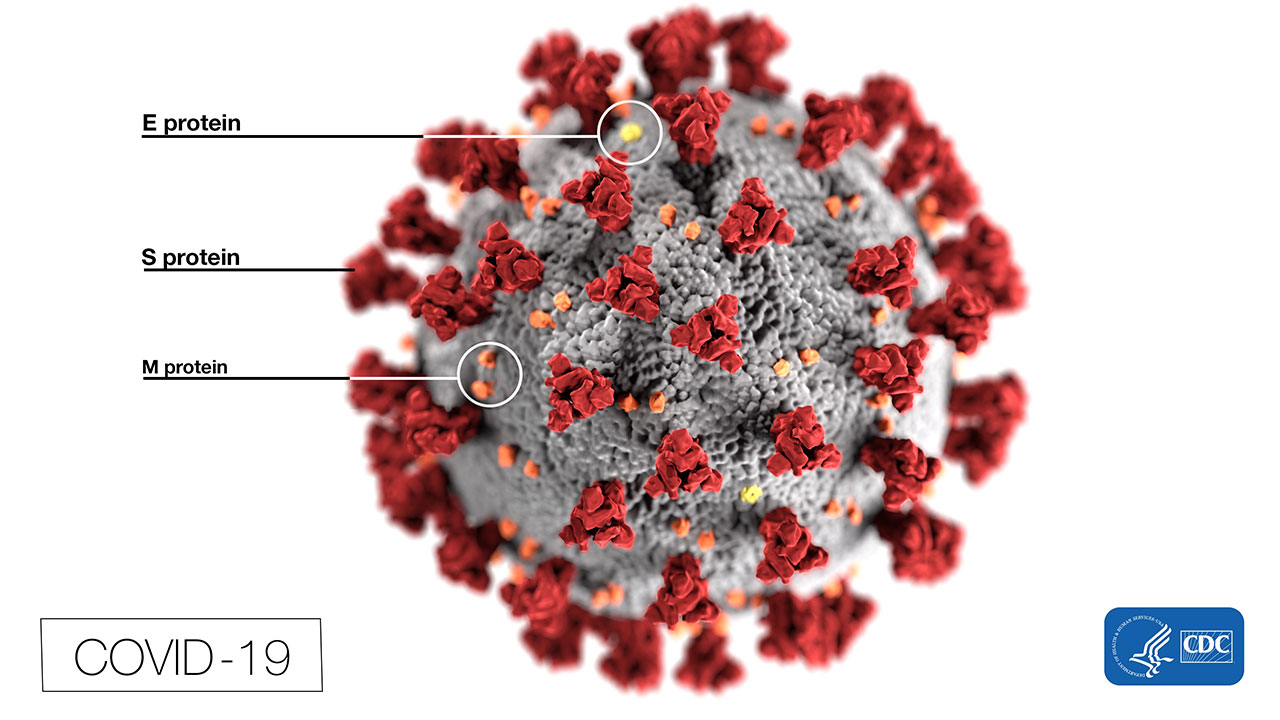 022720 cc coronavirus covid cdc img